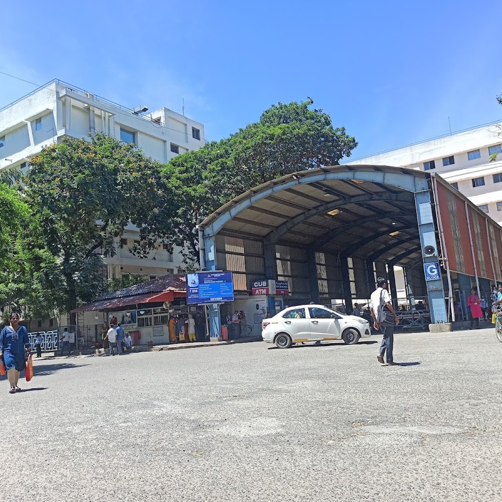 Google photo 6