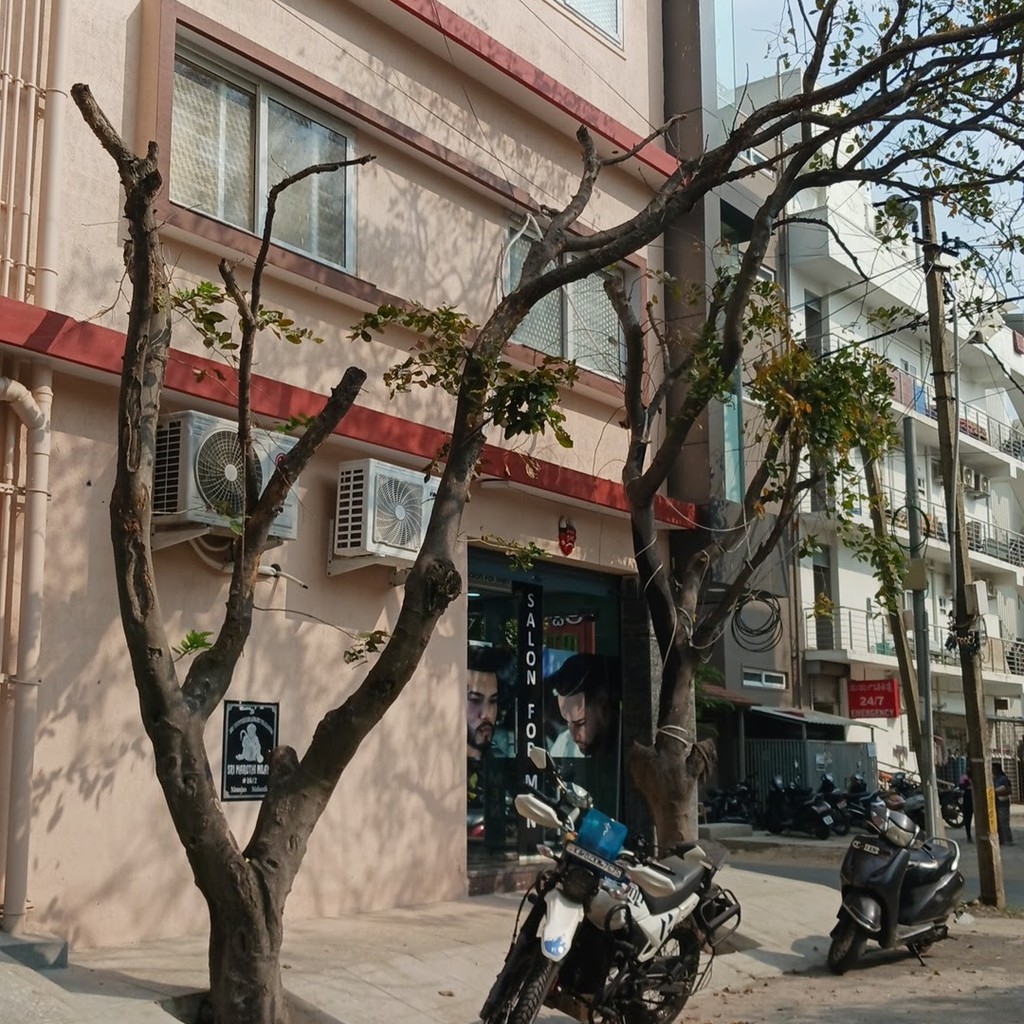 Google photo 2