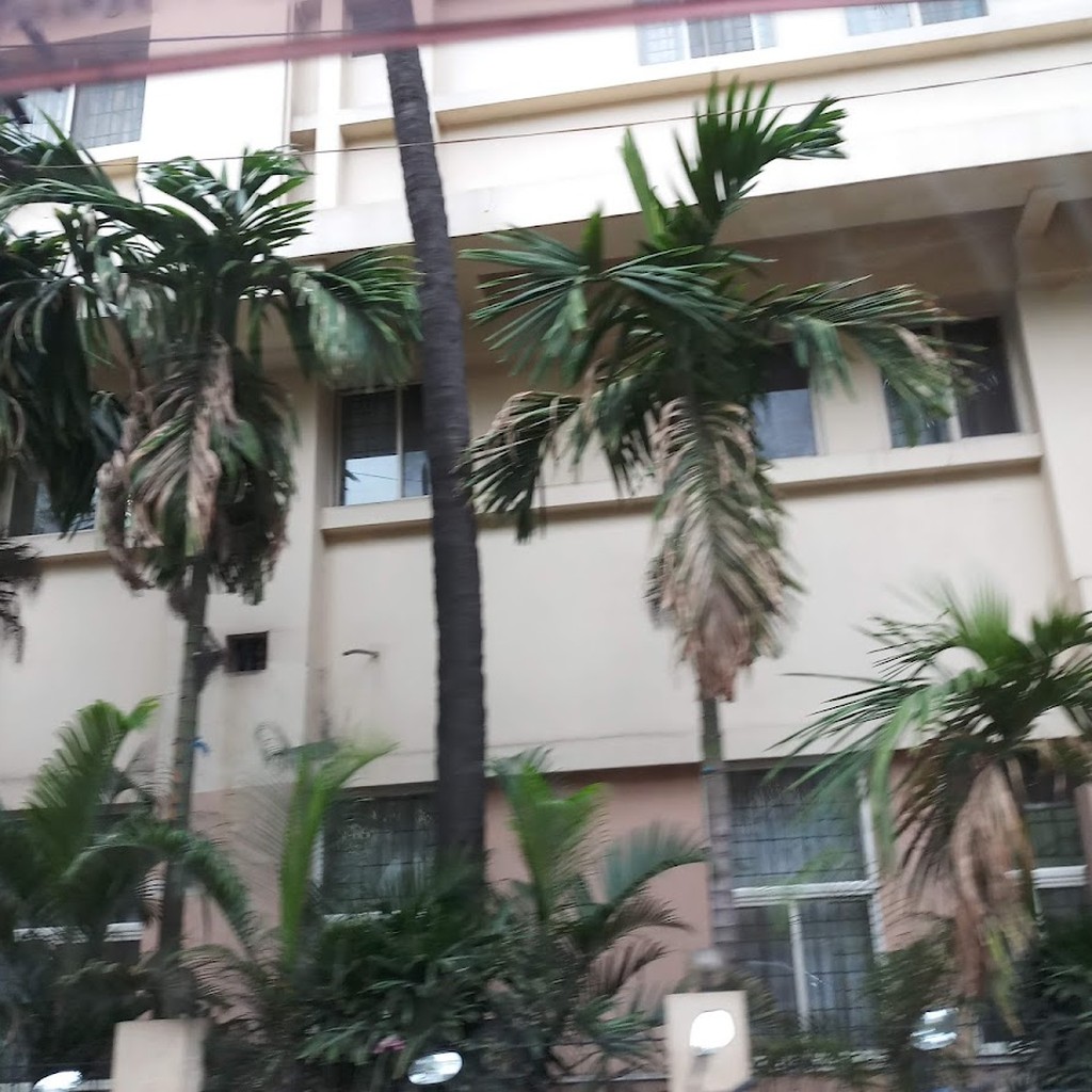 Google photo 3