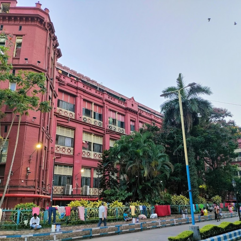 Google photo 4