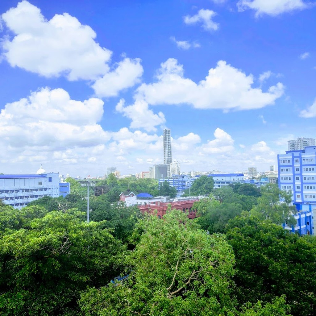 Google photo 5