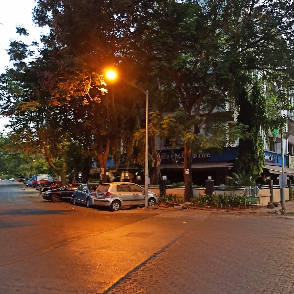 Google photo 6