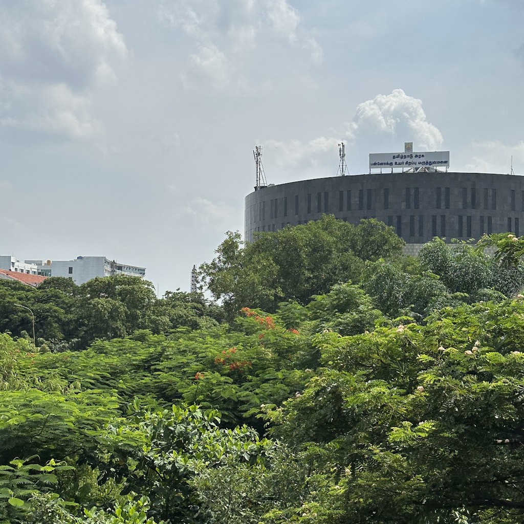 Google photo 2