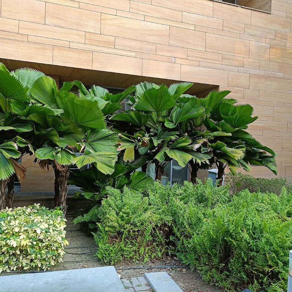 Google photo 2