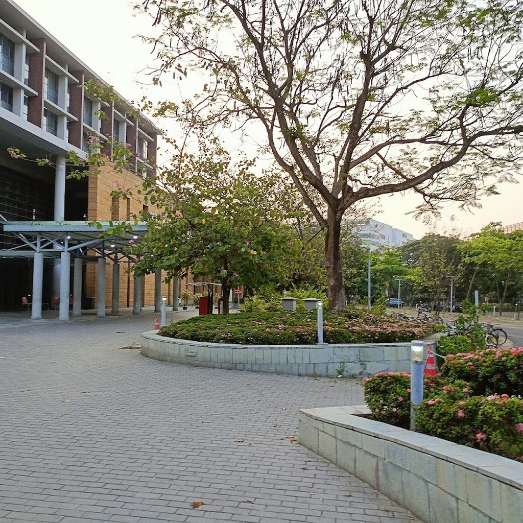 Google photo 3