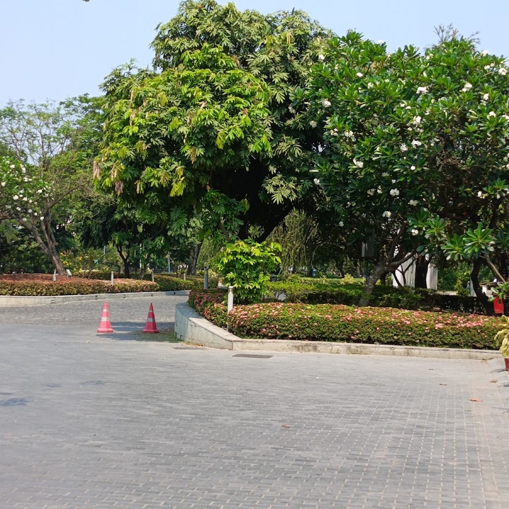 Google photo 4