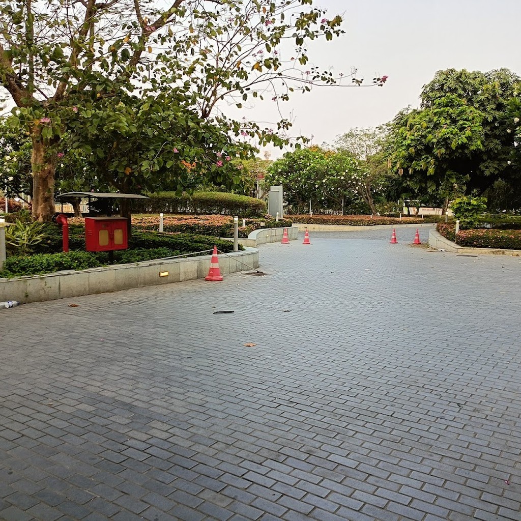 Google photo 6