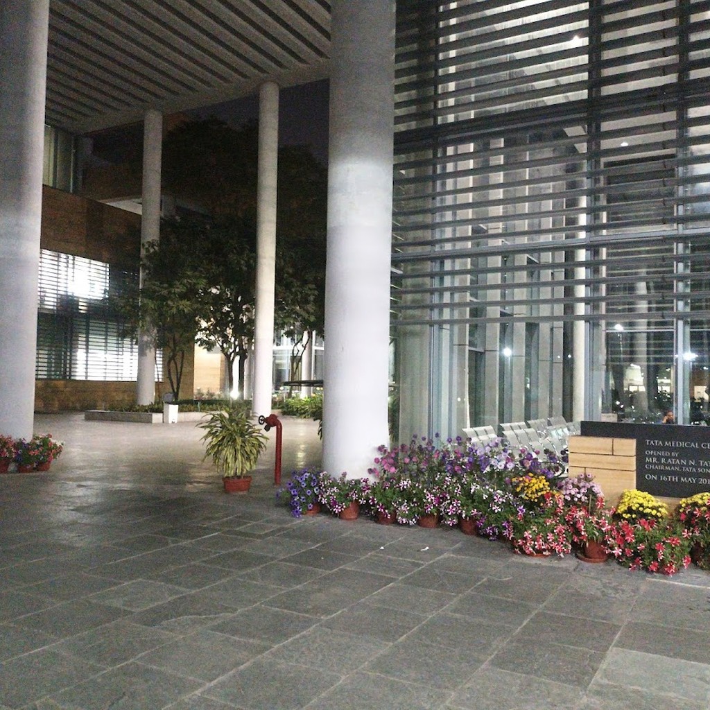 Google photo 8