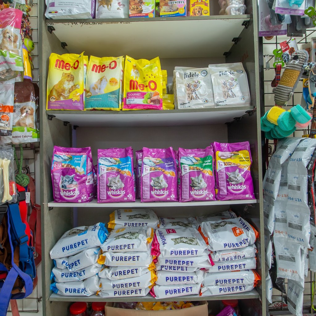 Google photo 4