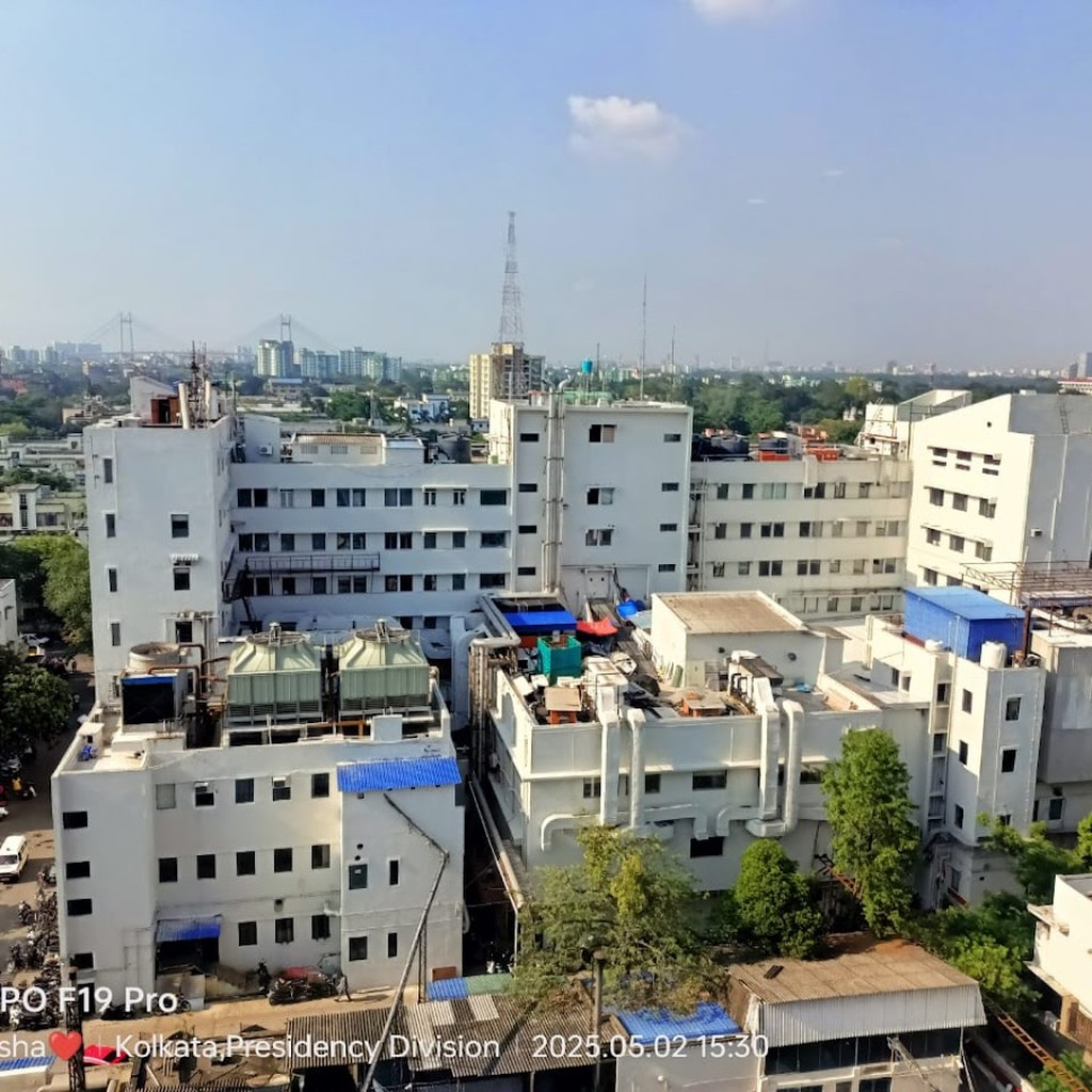 Google photo 2