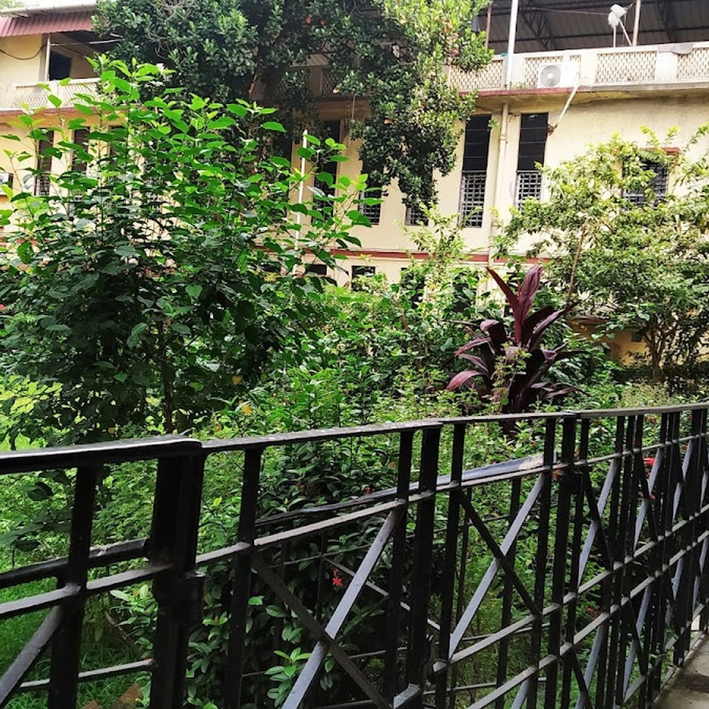 Google photo 7