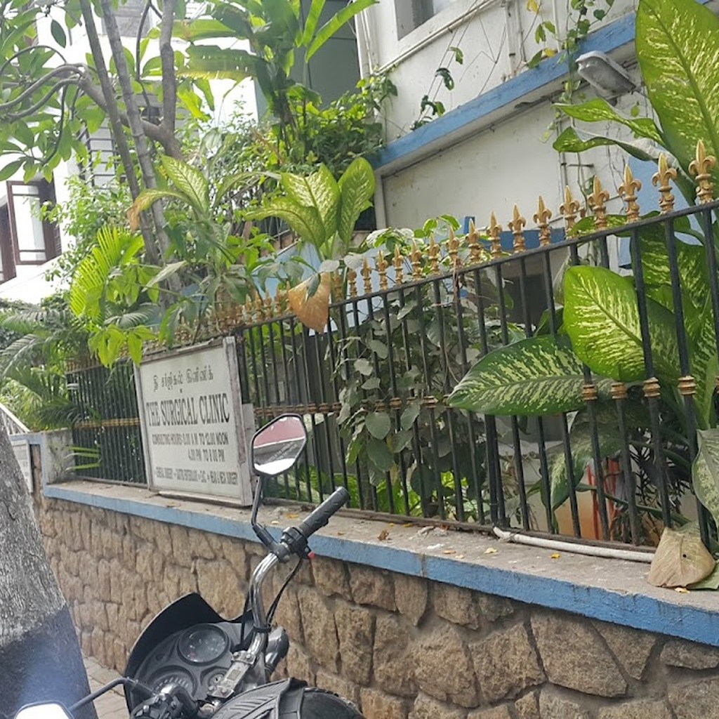 Google photo 6
