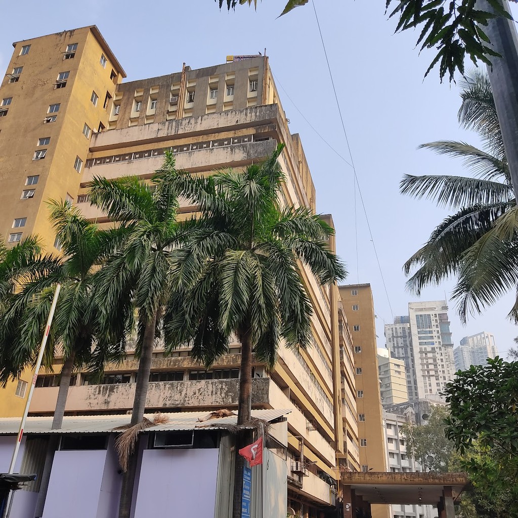 Google photo 3