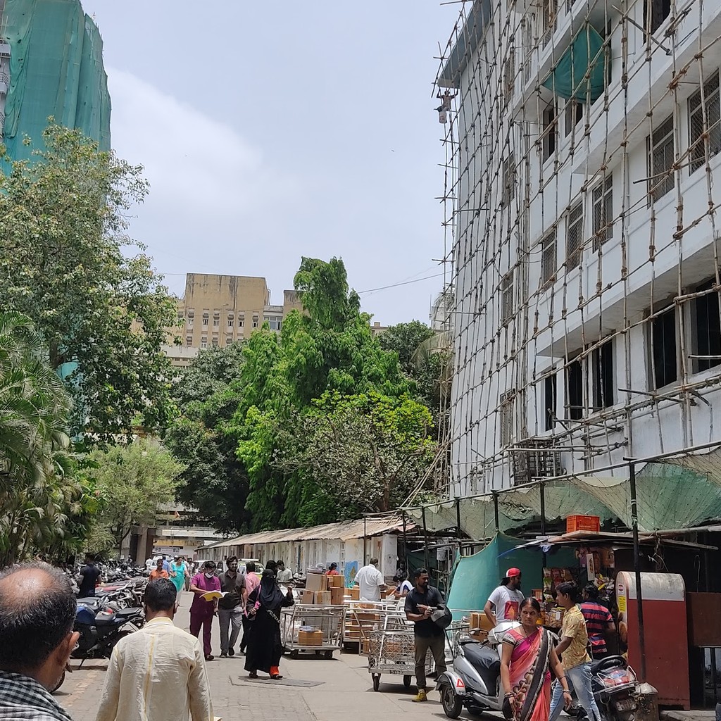 Google photo 5