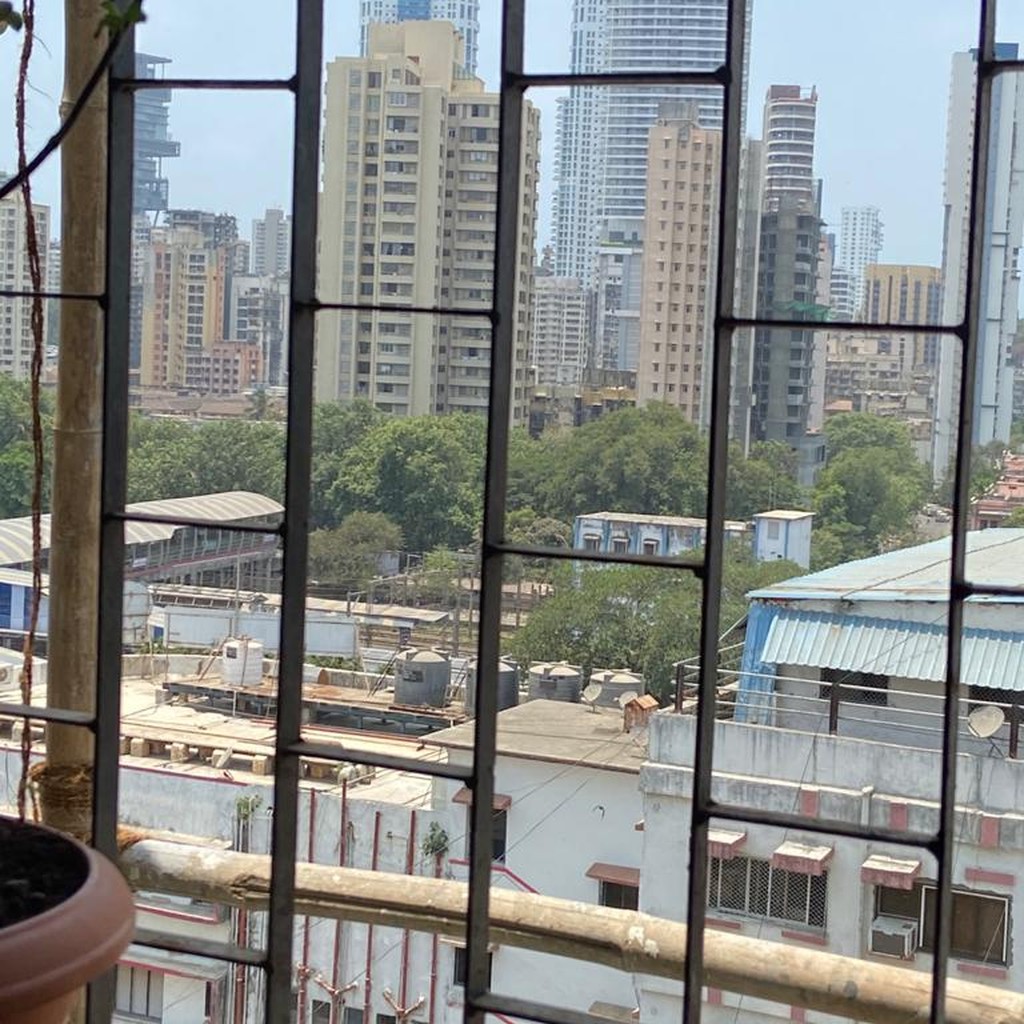Google photo 6