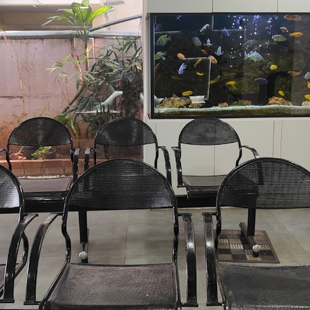 Google photo 7