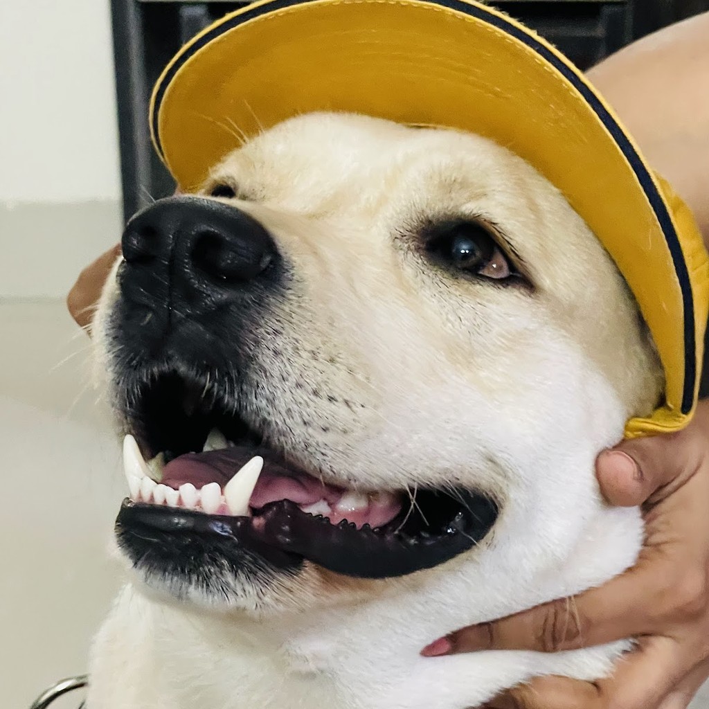 Google photo 2