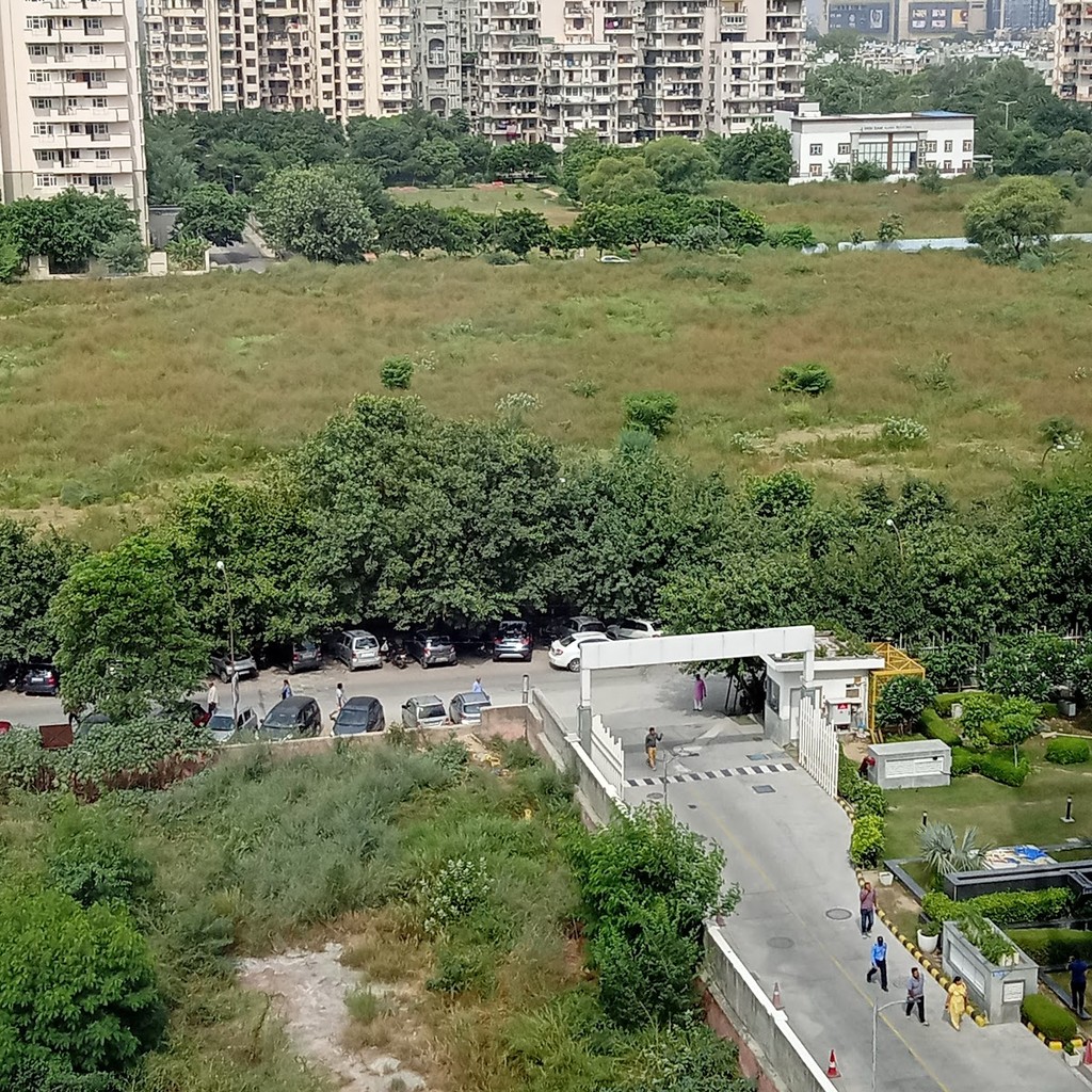 Google photo 6