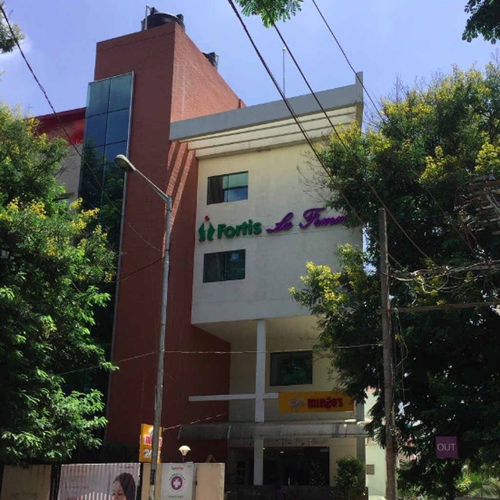 Google photo 6