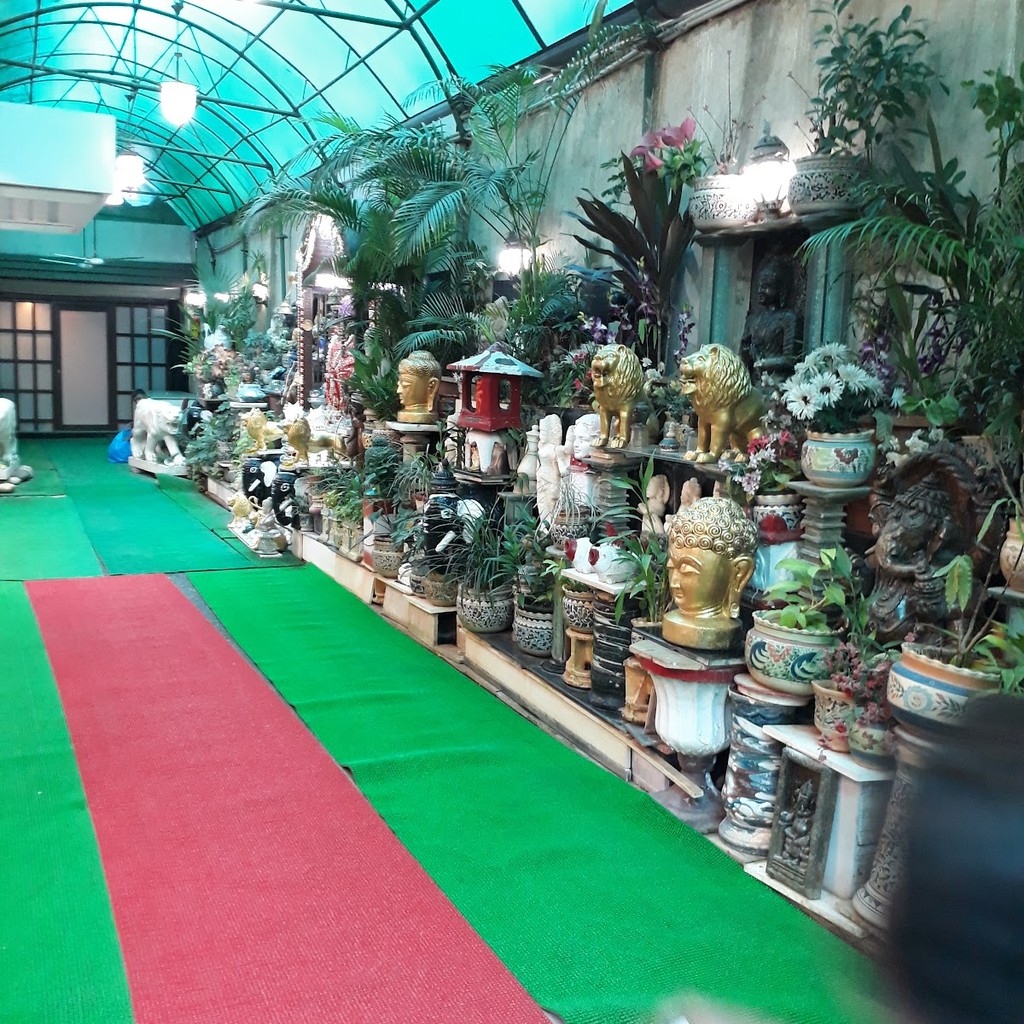Google photo 8
