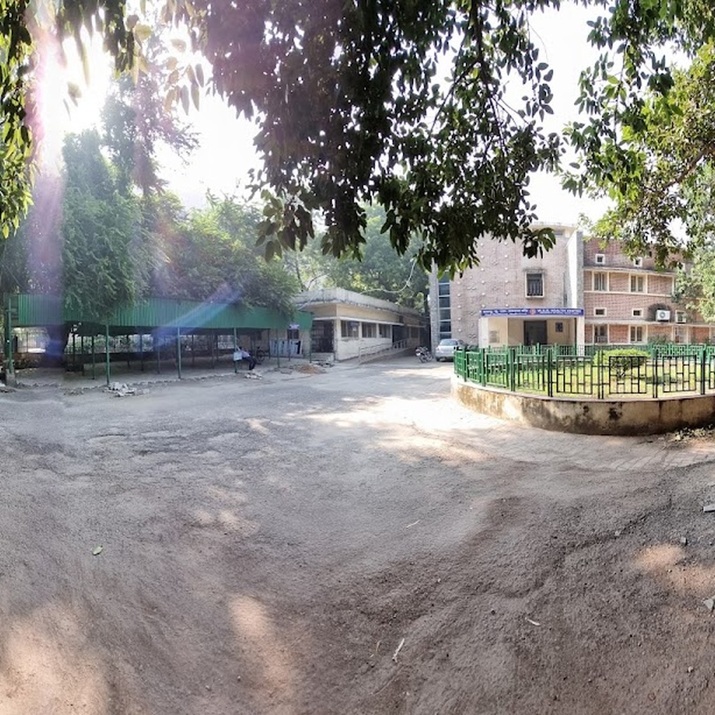 Google photo 5