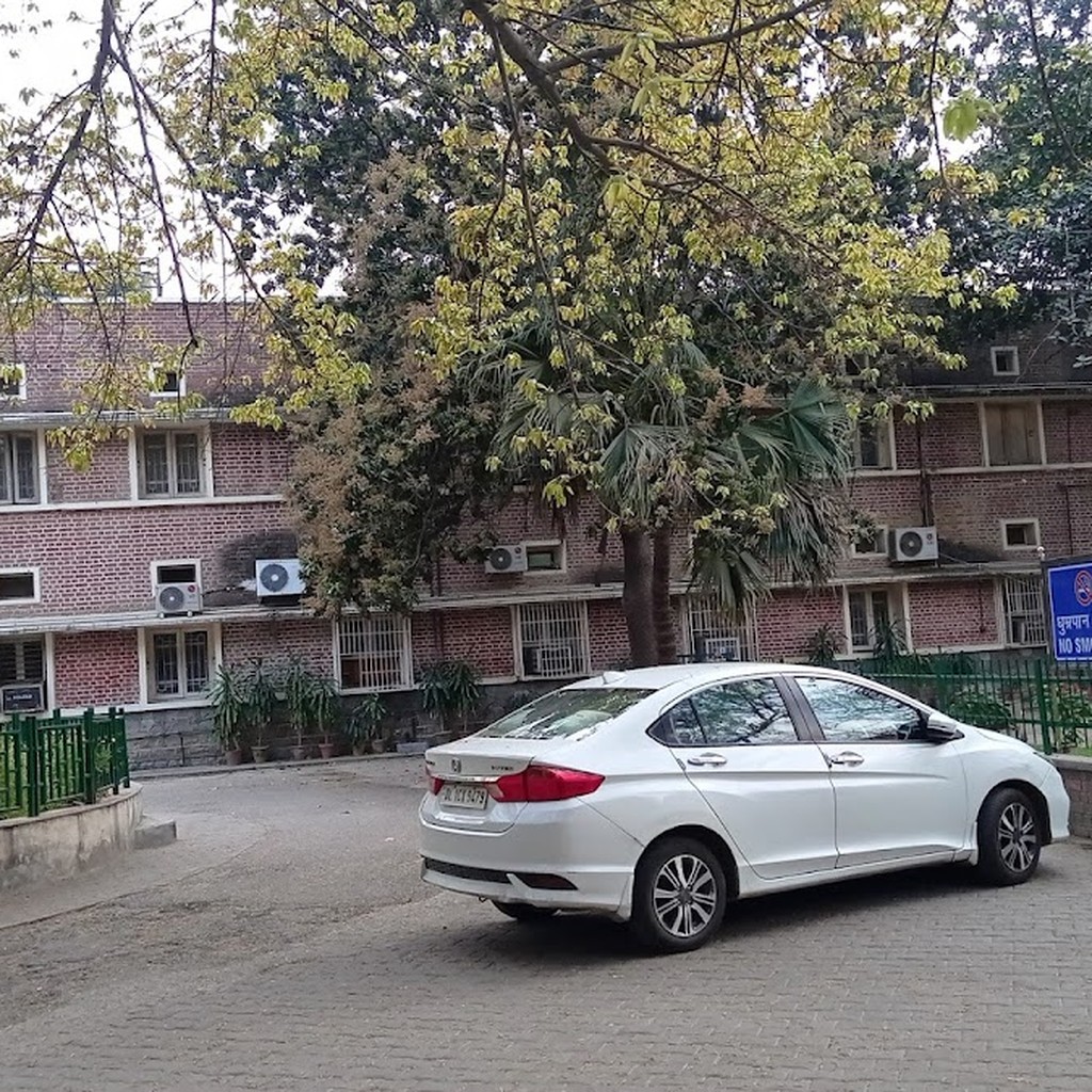 Google photo 6