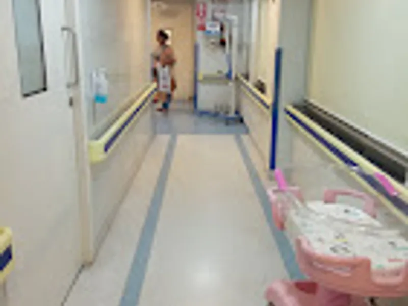 Gallery 8