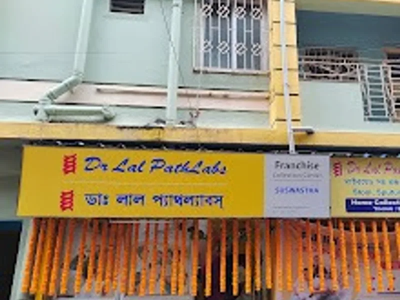 Gallery 3