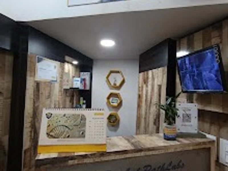 Gallery 3