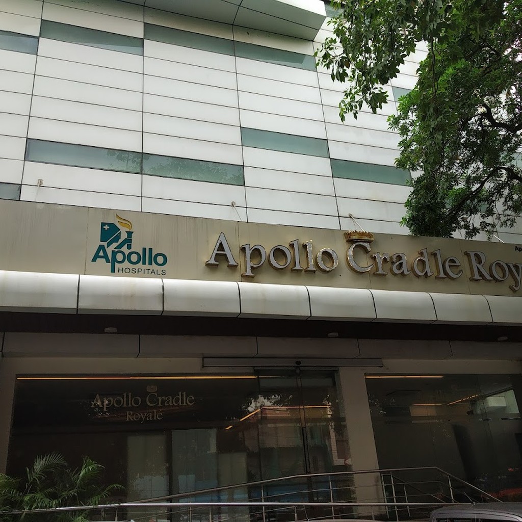 Apollo Cradle Royale