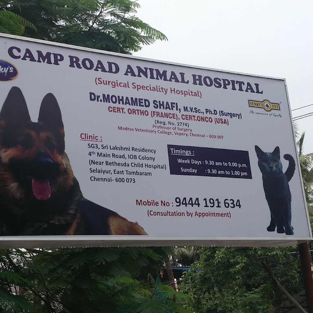 Camp Road Animal Hospital