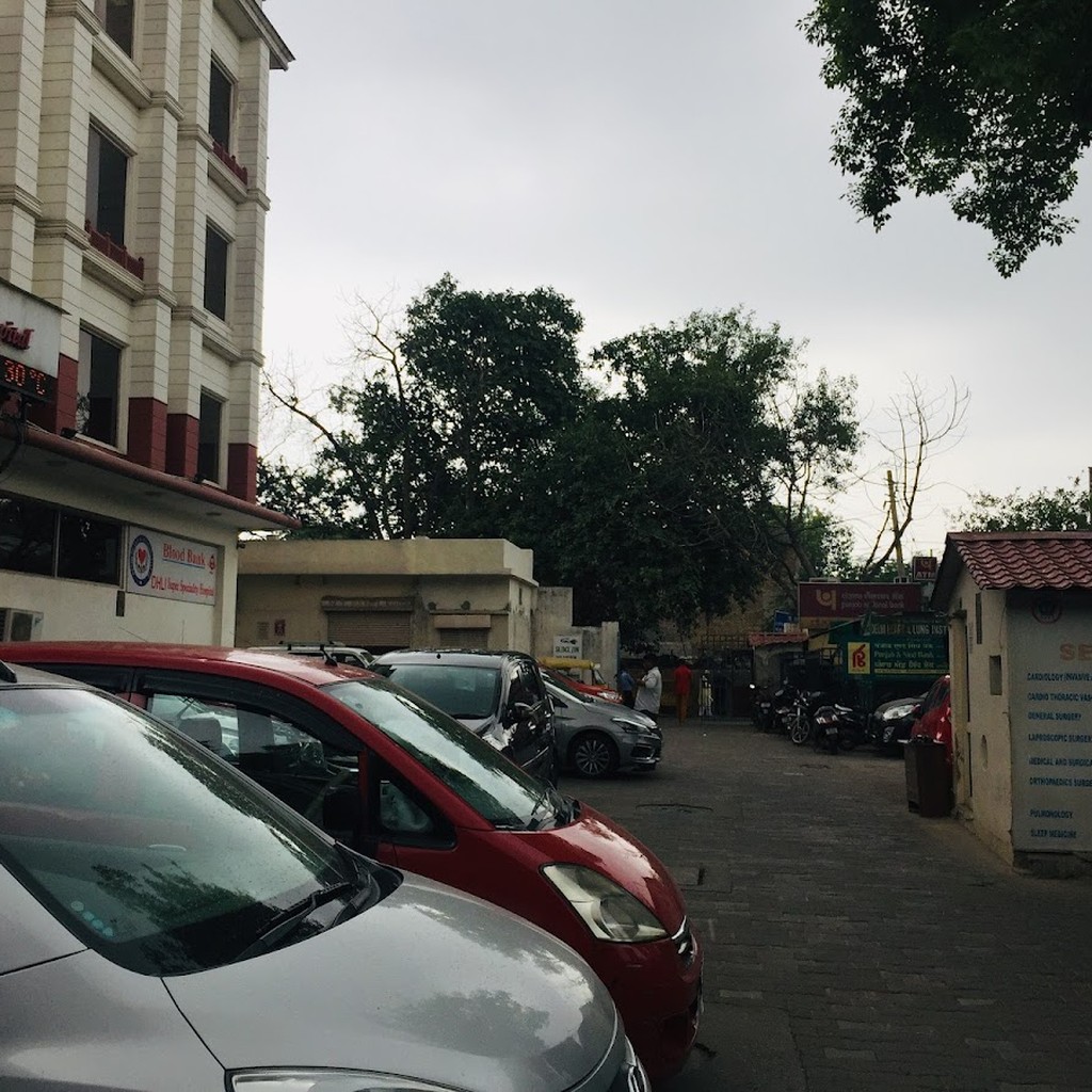 Delhi Heart & Lung Institute