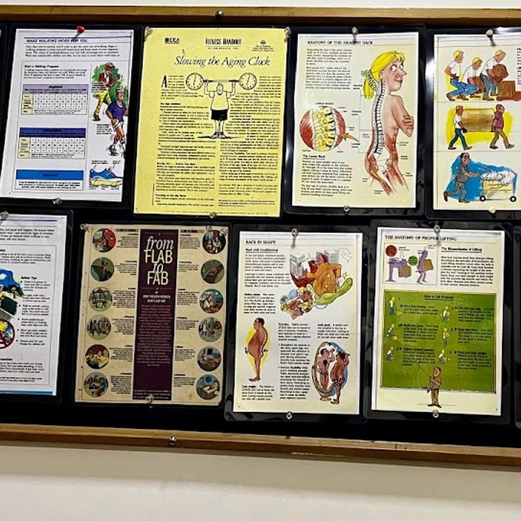 Dr Sangita Chadha's Physiotherapy Clinic