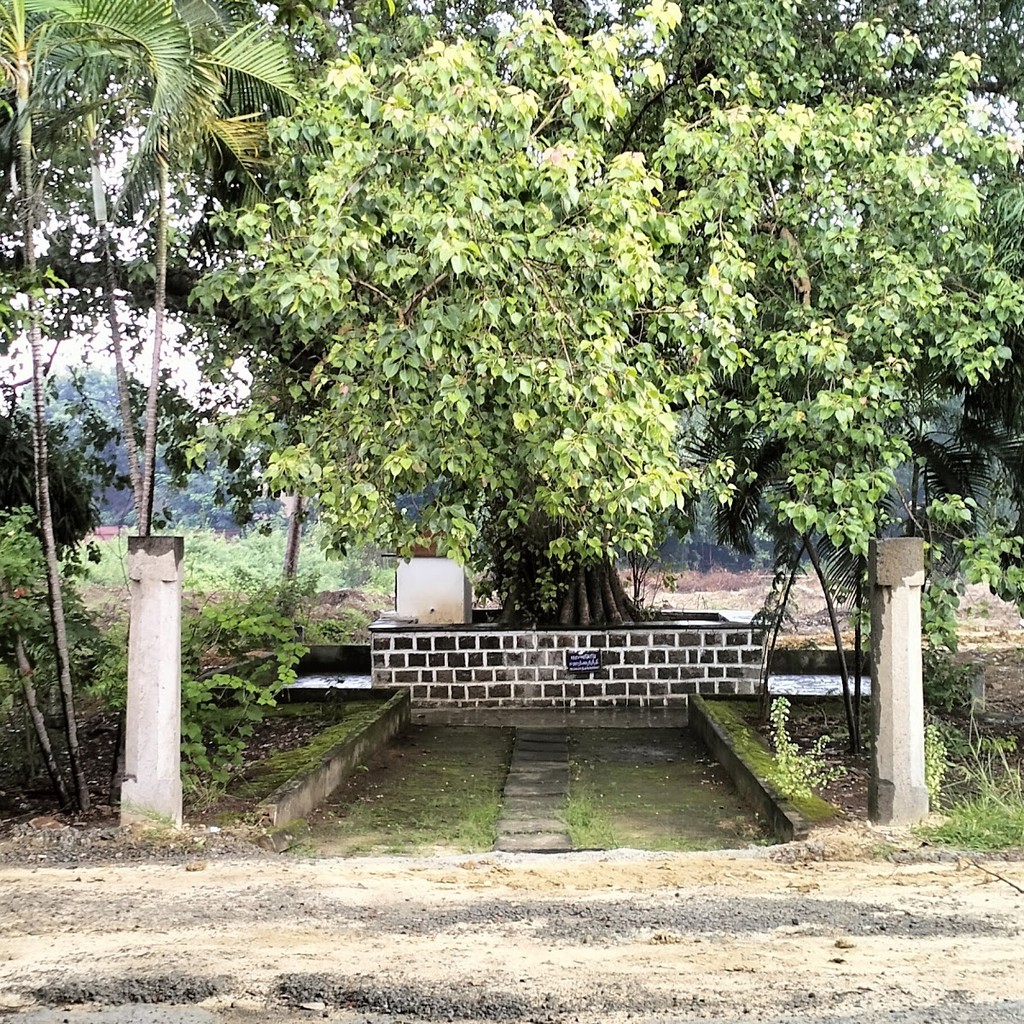 Murari Hospital