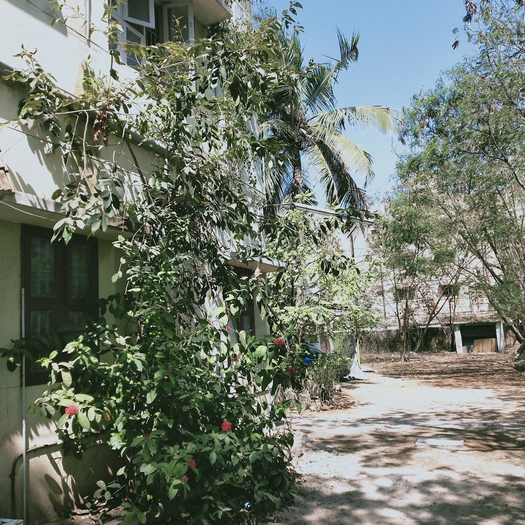 Rohit Hospital