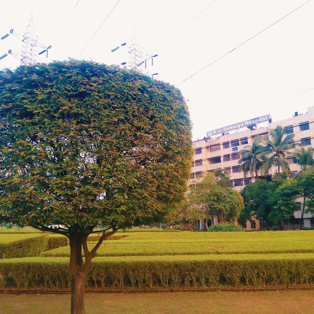 Somaiya Hospital