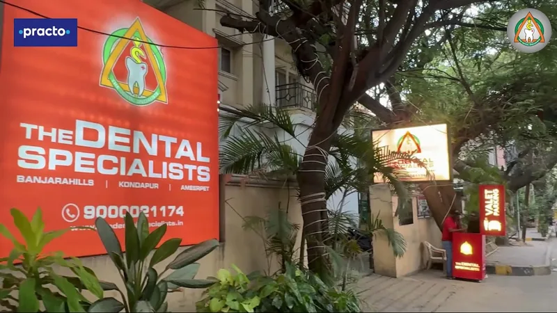 The Dental Specialists