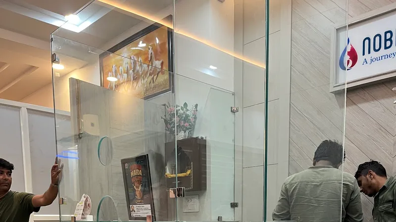 Noble IVF (Unit of Raj Mata Hospital and Fertility Centre)