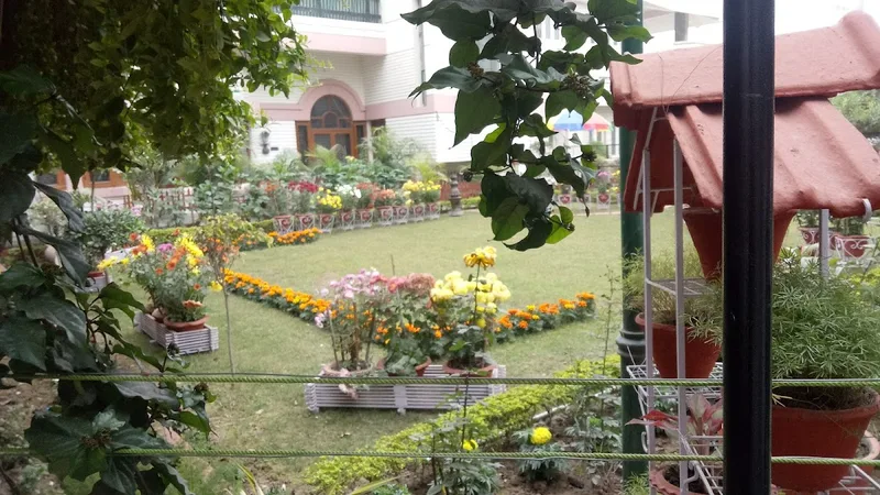 Dr Anand Misra Clinic