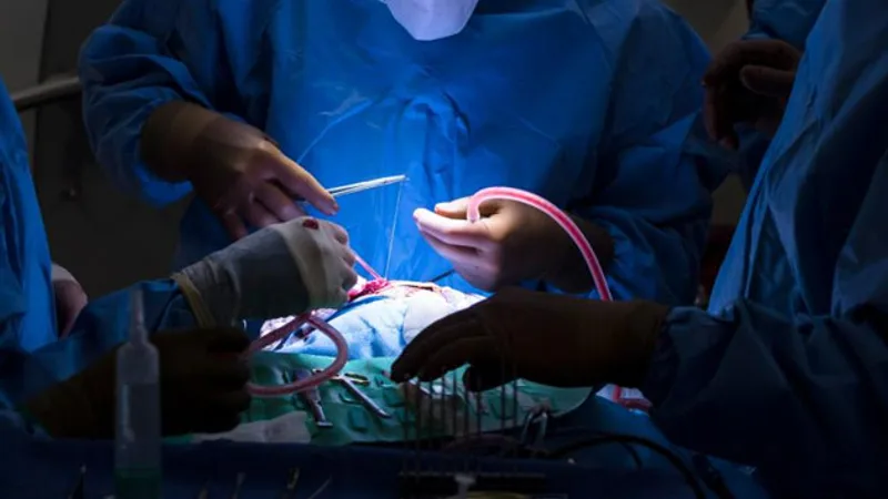 Head and Neck Surgical Oncology Hospital