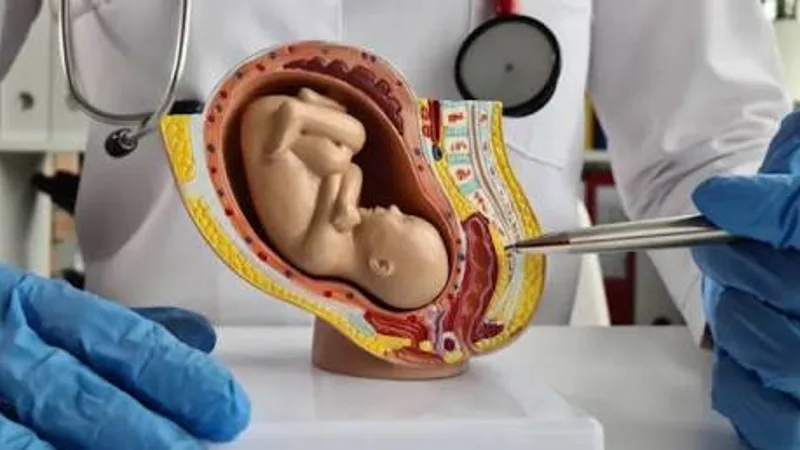 GYNAECOLOGIST Dr. J. KALPANA DEEPAK M. B. B. S., M. S. (O&G)., DPH.