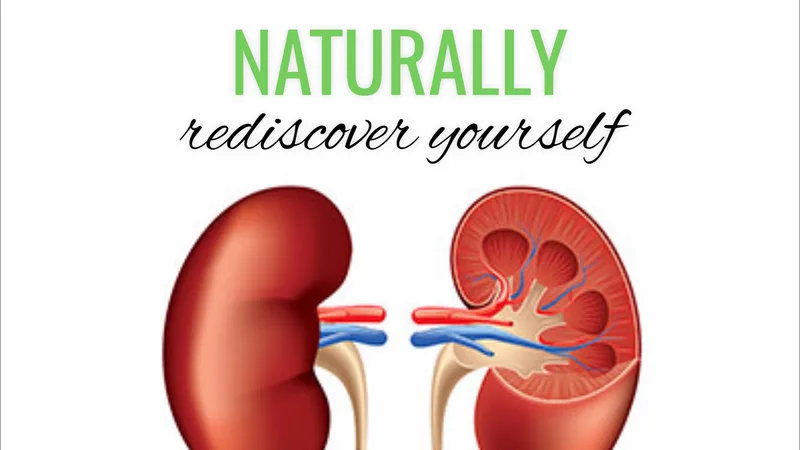 Kidney Ayurveda by AYURVEDA NATURALLY