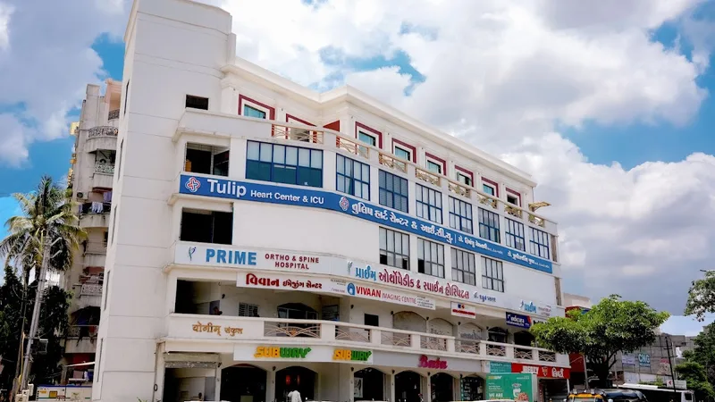 Spine Surgeon