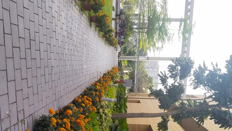 Dr Rajeev Sharan Clinic