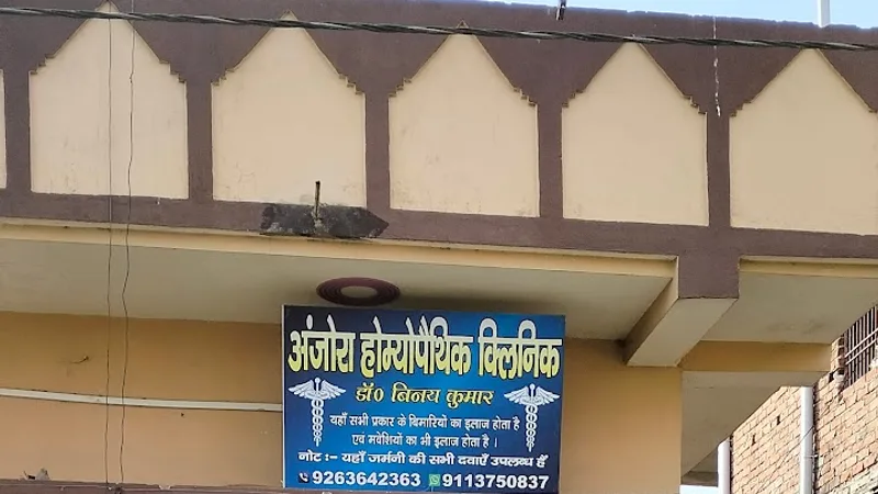 Anjora Homeopathy Clinic