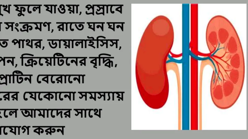 Dr Anirban Sen Nephrologist, Top Nephrologist and Hypertension Specialist in Kolkata, Best Kidney Doctor in Behala Clinic
