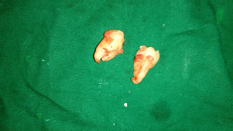 32 Smile Dental and Maxillofacial clinic