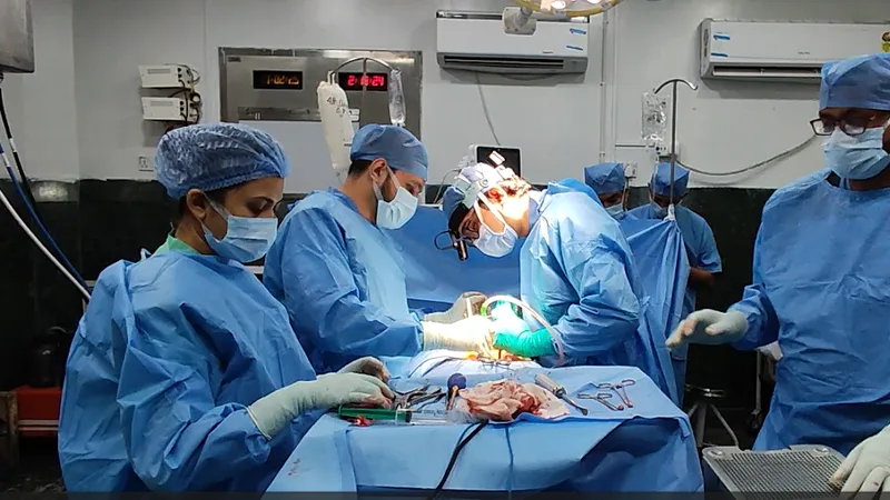 Spine Research Foundation