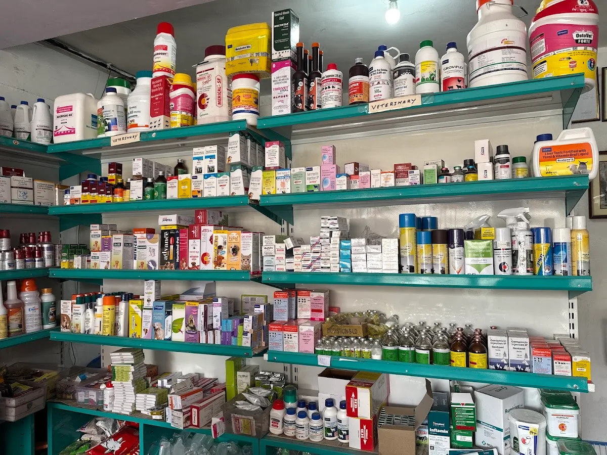 Bharath medical and general store