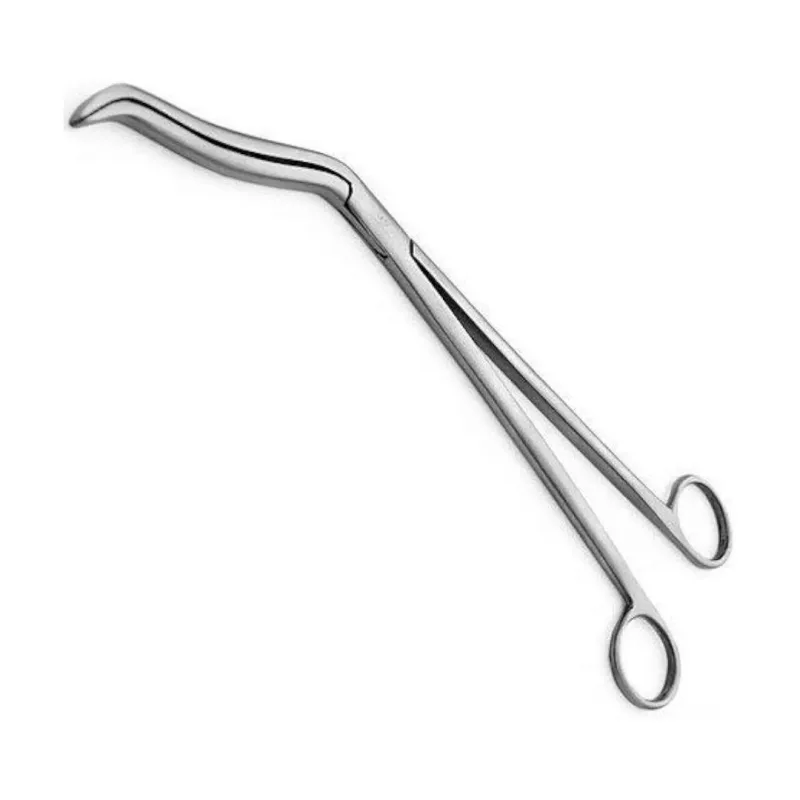 Surgical Cheatle 10 Inch Scissor  Stainless Steel